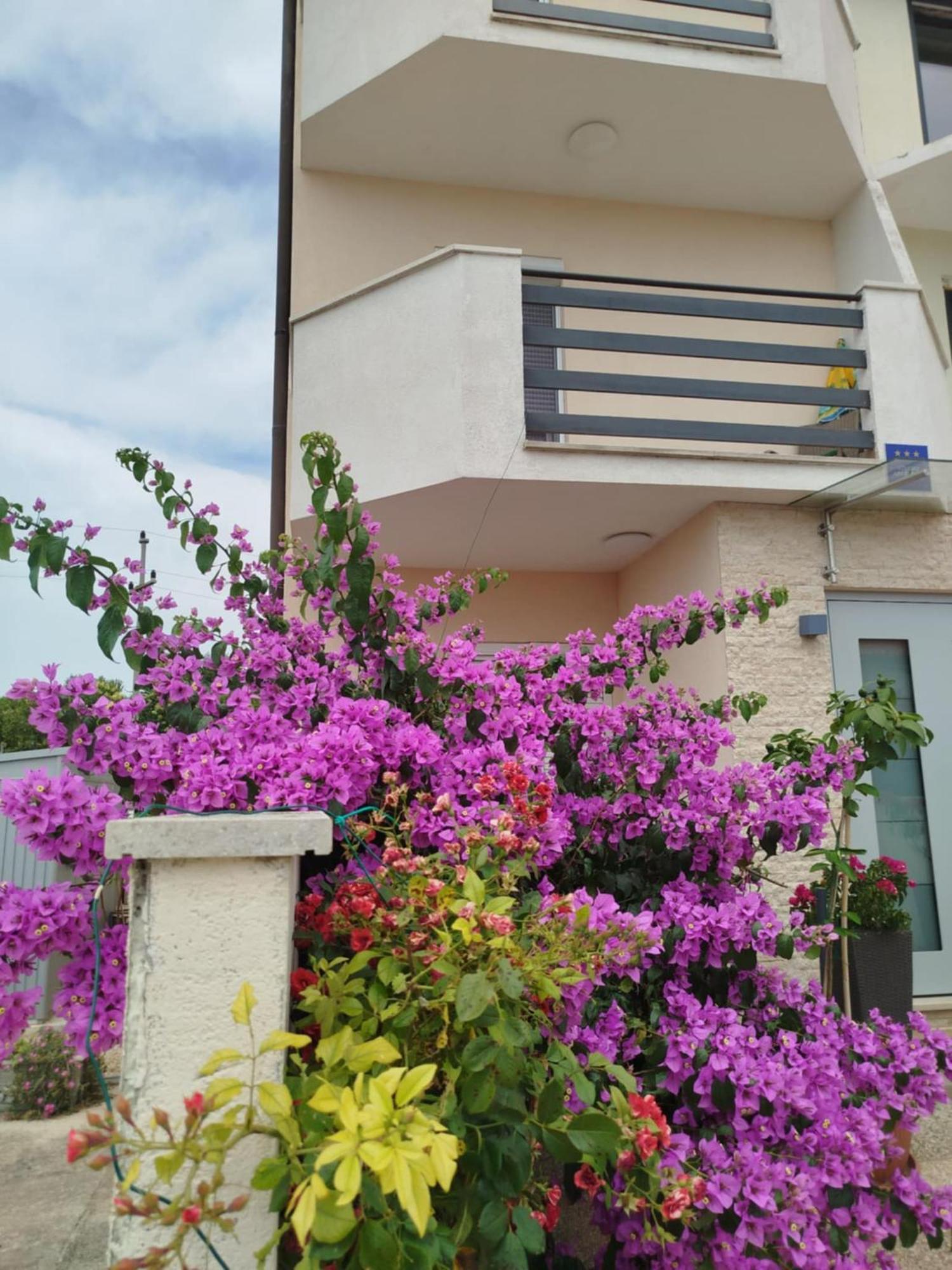 Ferienwohnung Smokvica Savudrija Exterior foto